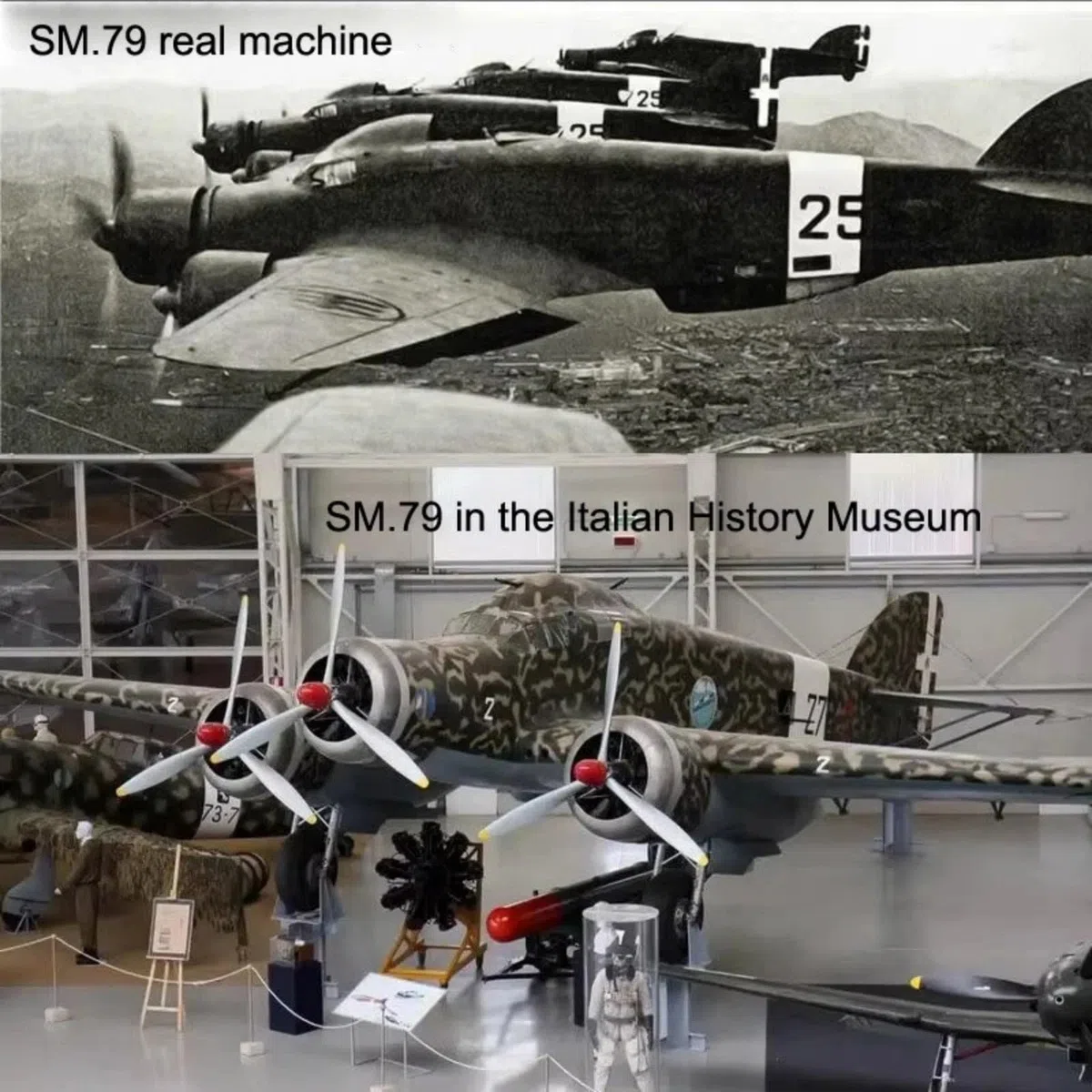 DAGIJIRD Modelo de avión de aleación de simulación 1:144 aleación WWII Italia SM.79 Sparviero modelo bombardero