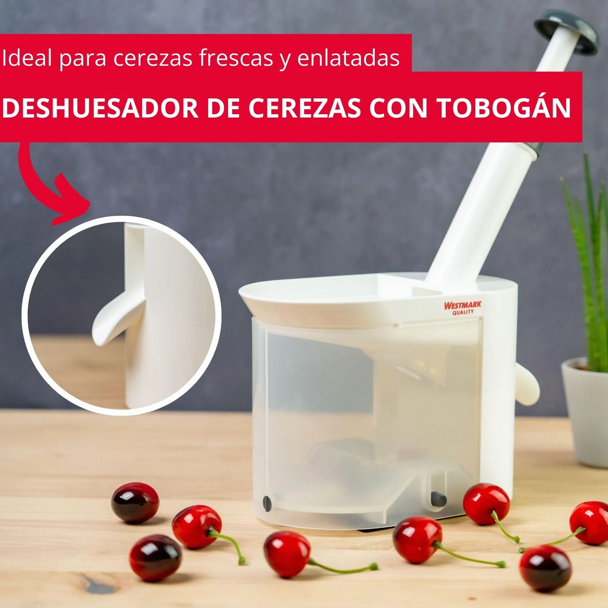 Westmark Deshuesador de cerezas 22 cm Plástico acero inoxidable Blanco antracita