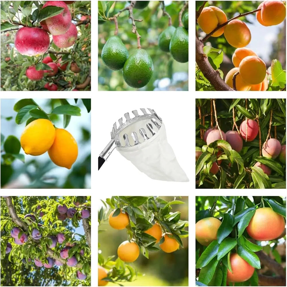 HEYIDAMAI Recogedor de fruta, Recogedor de manzanas, Ayuda para la recolección 4M, Recogedor de frutas Fácil de montar, Recogedor de cerezas con ligera extensión de acero inoxidable, Barra de conexión