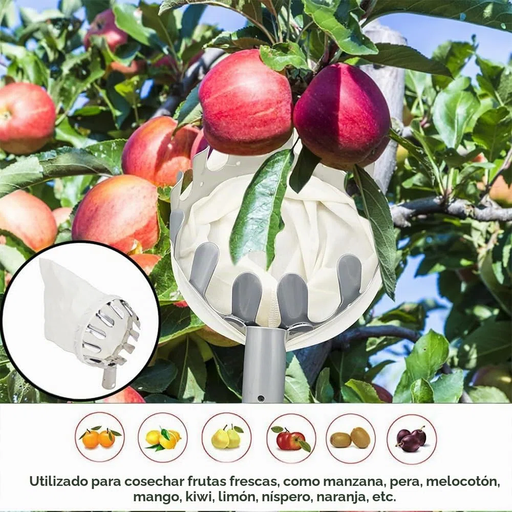 HEYIDAMAI Recogedor de fruta, Recogedor de manzanas, Ayuda para la recolección 4M, Recogedor de frutas Fácil de montar, Recogedor de cerezas con ligera extensión de acero inoxidable, Barra de conexión