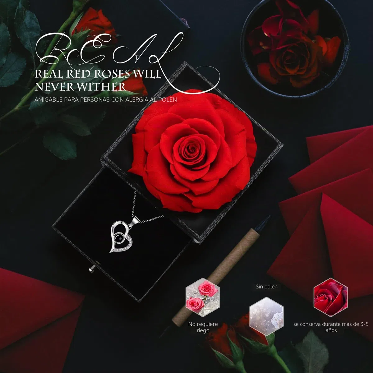 GOICC Rosa Eterna Natural Preservada Día de la Madre Regalos Originales con Collar para Mujer Mamá Abuela Flor Eterna para Mujer Novia Pareja para San Valentin Navidad Cumpleaños Aniversario