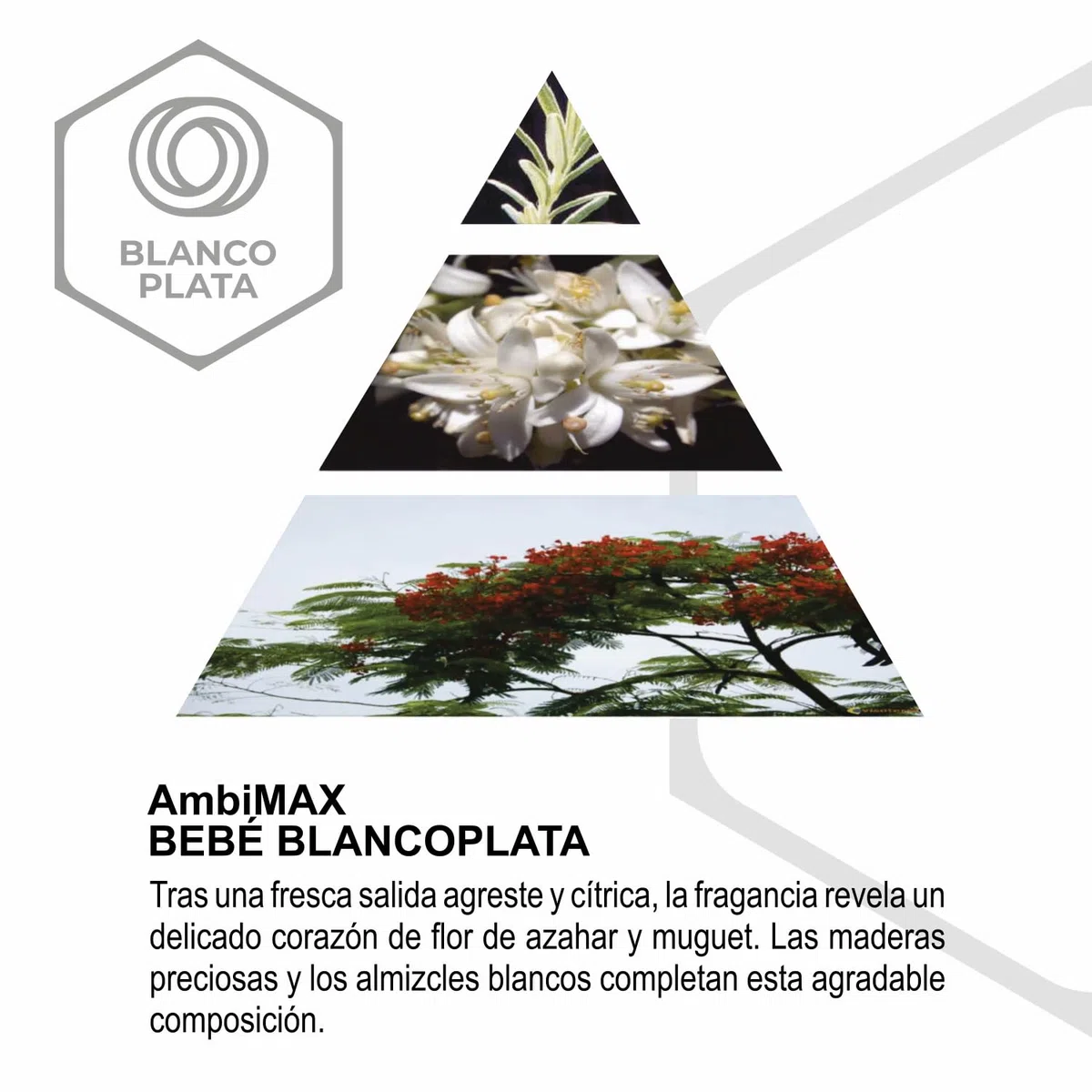 Recambio Ambimax Ambientador Bebe Plus 100ml, 30 días duración, 150m2 cobertura