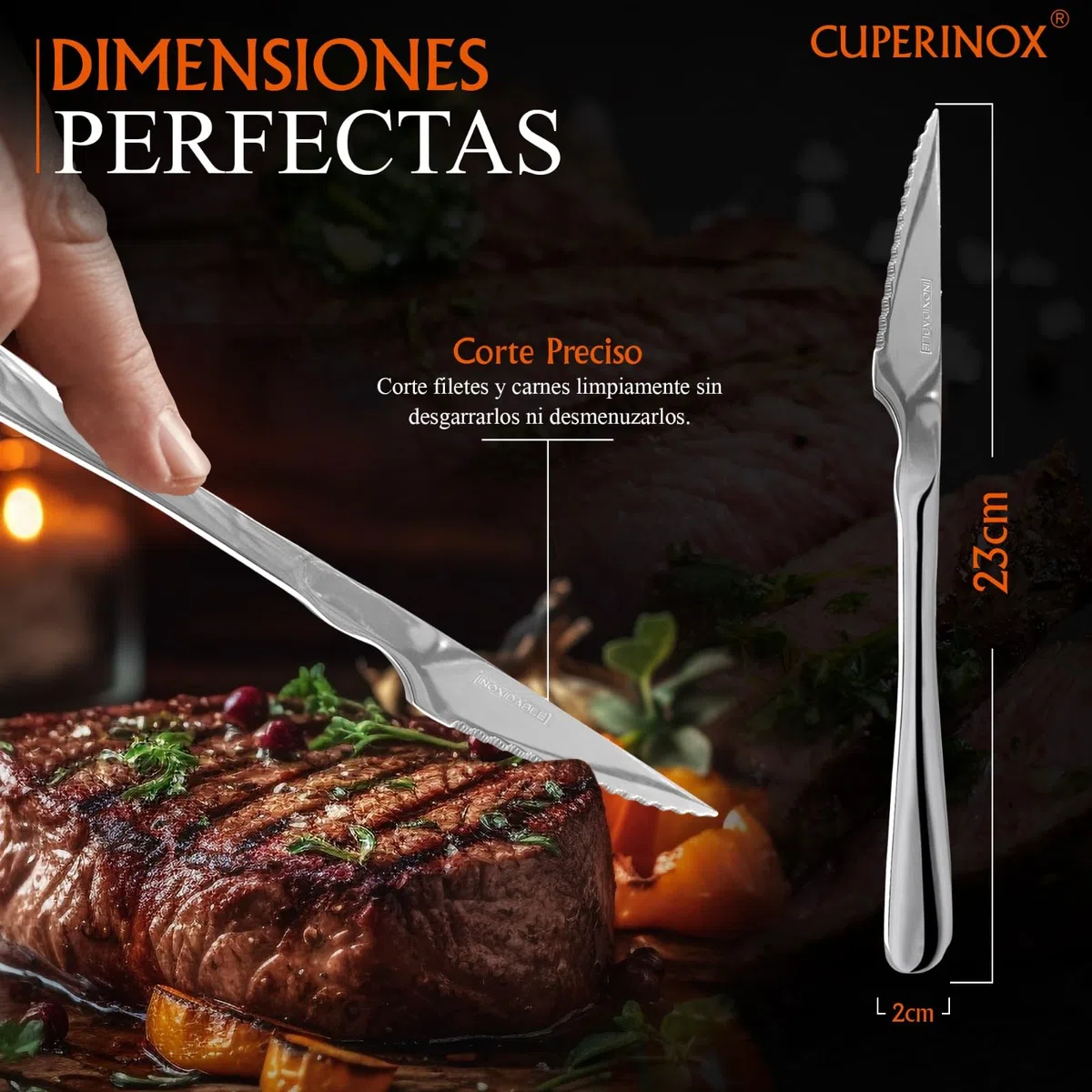 Cuchillos de Mesa Acero Inoxidable – Set 12 Cuchillos para Carne con Filo Dentado – Aptos Lavavajillas – Uso Diario y Profesional