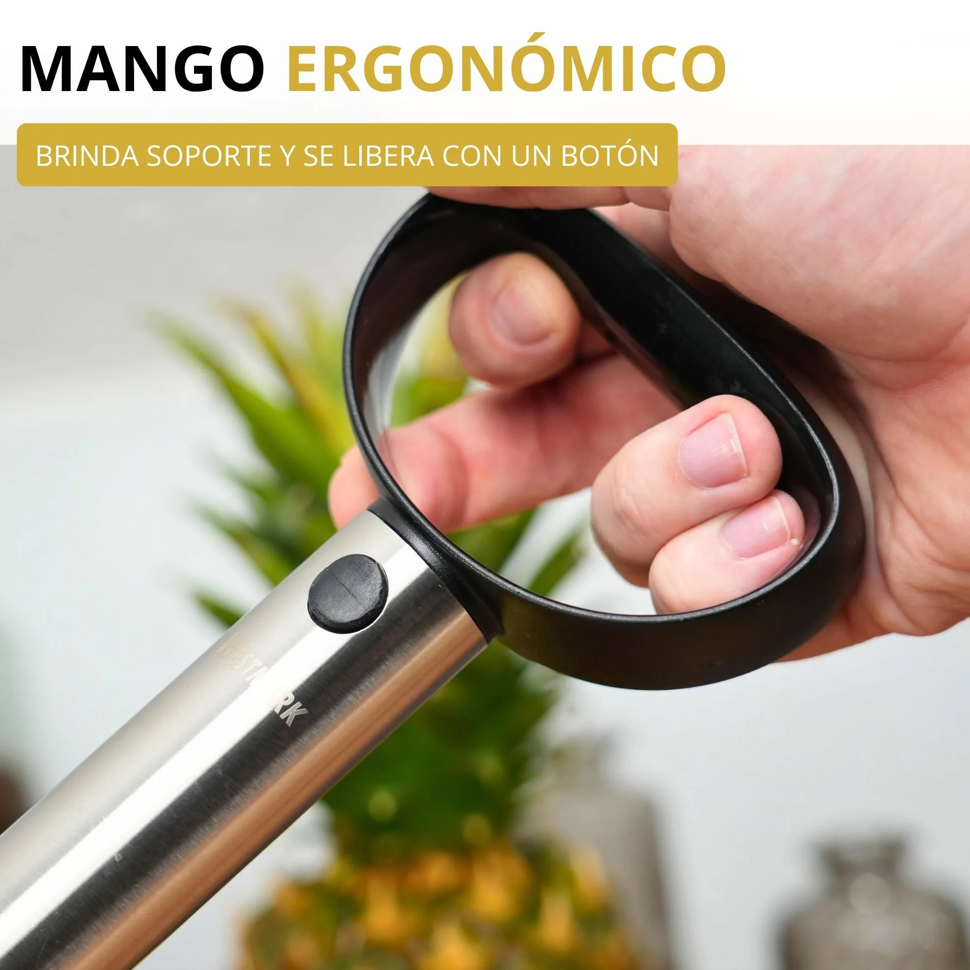 Westmark Cortador de piñas acero inoxidable, ø 8,5 cm, Acero inoxidable/plástico, Plata/negro, 51692260