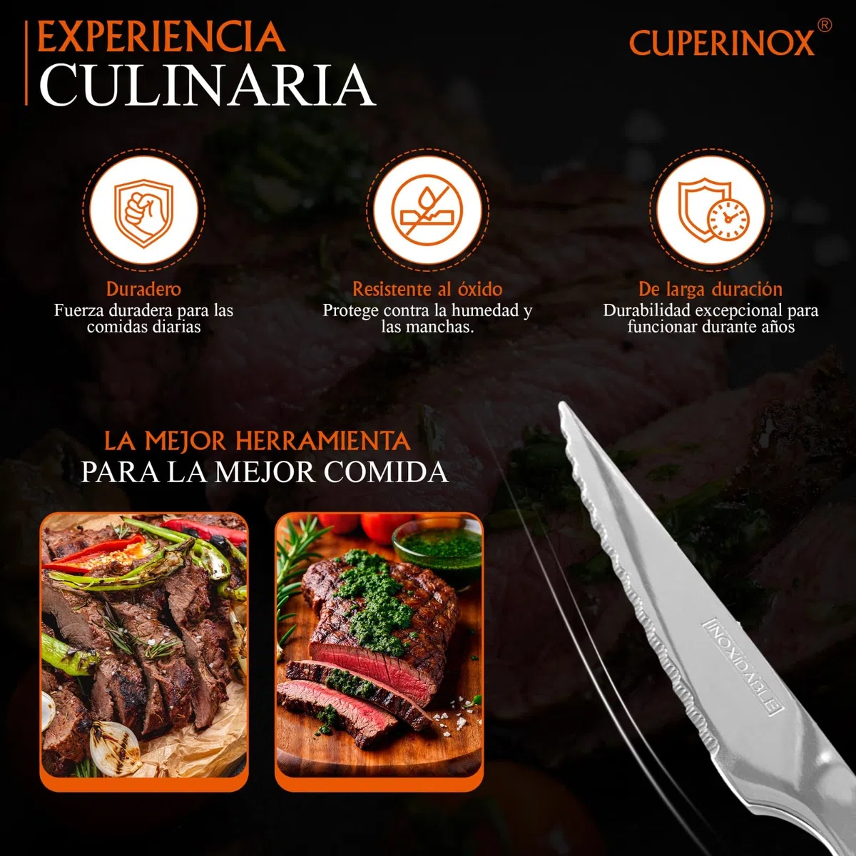 Cuchillos de Mesa Acero Inoxidable – Set 12 Cuchillos para Carne con Filo Dentado – Aptos Lavavajillas – Uso Diario y Profesional